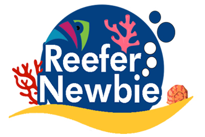 Reefer Newbie Indonesia